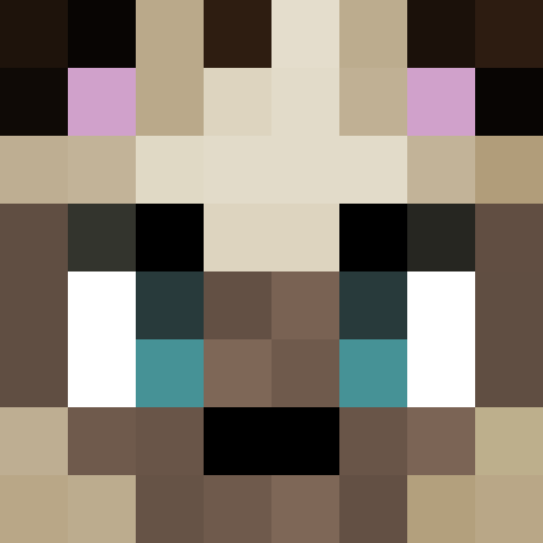 SirR0z's skin