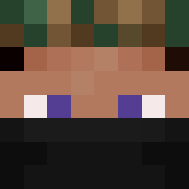 h4yl33's skin