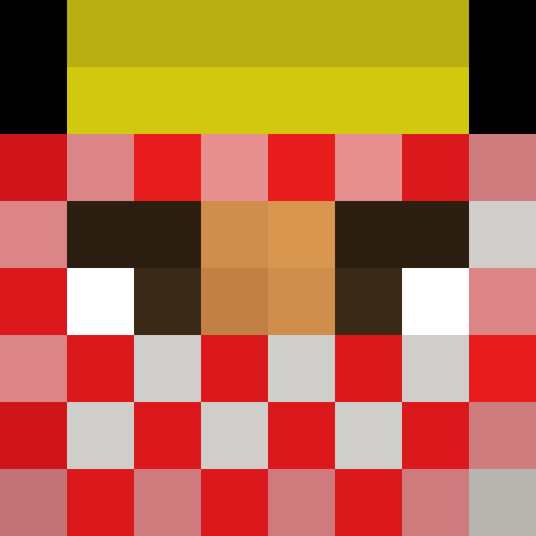 T4igerNinj4's skin