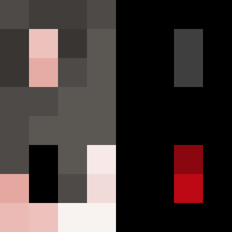 Turtlewastaken's skin