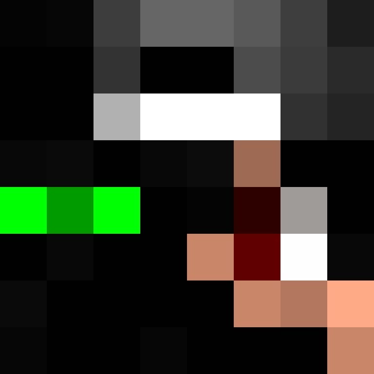 seloucotio's skin