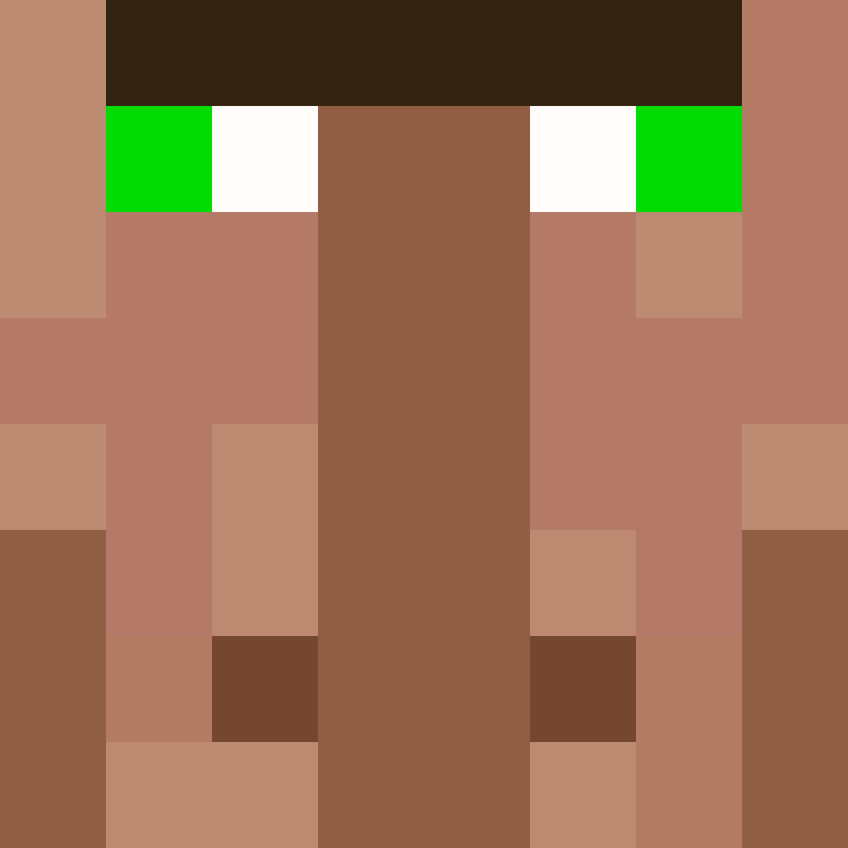 NinjaSpeedrun's skin