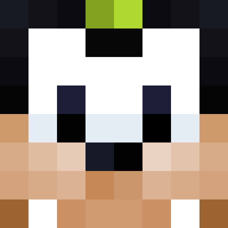 PlaygoRank1's skin