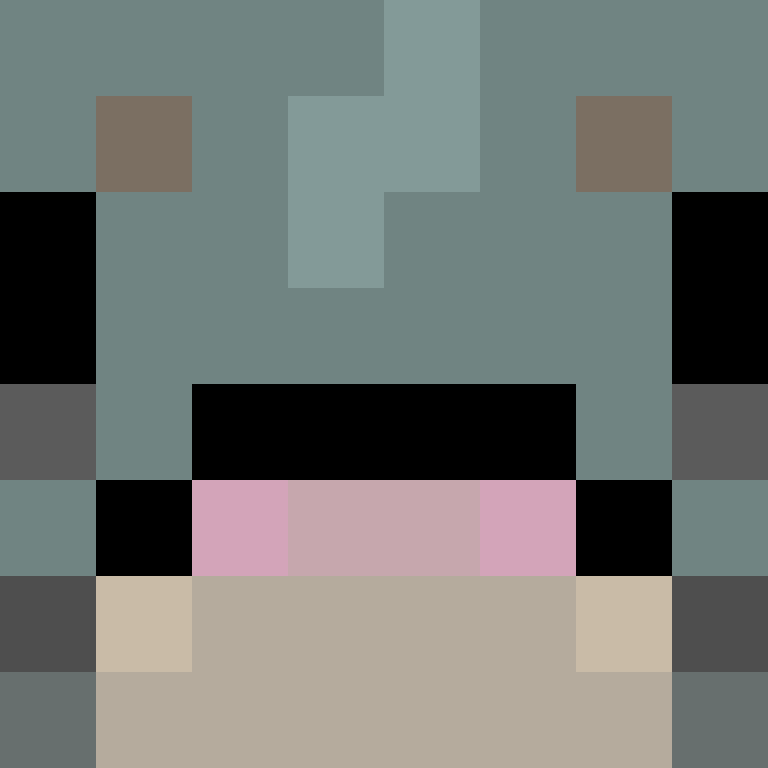 Ven1lla's skin