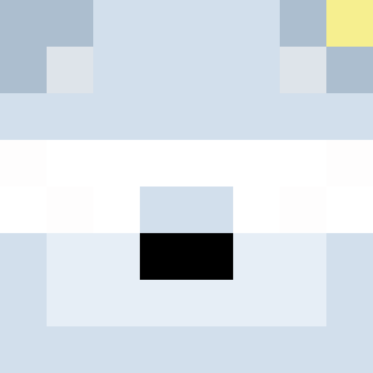 4AniP's skin