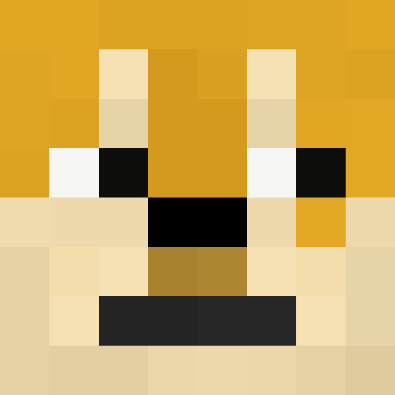 LightningDoge99's skin