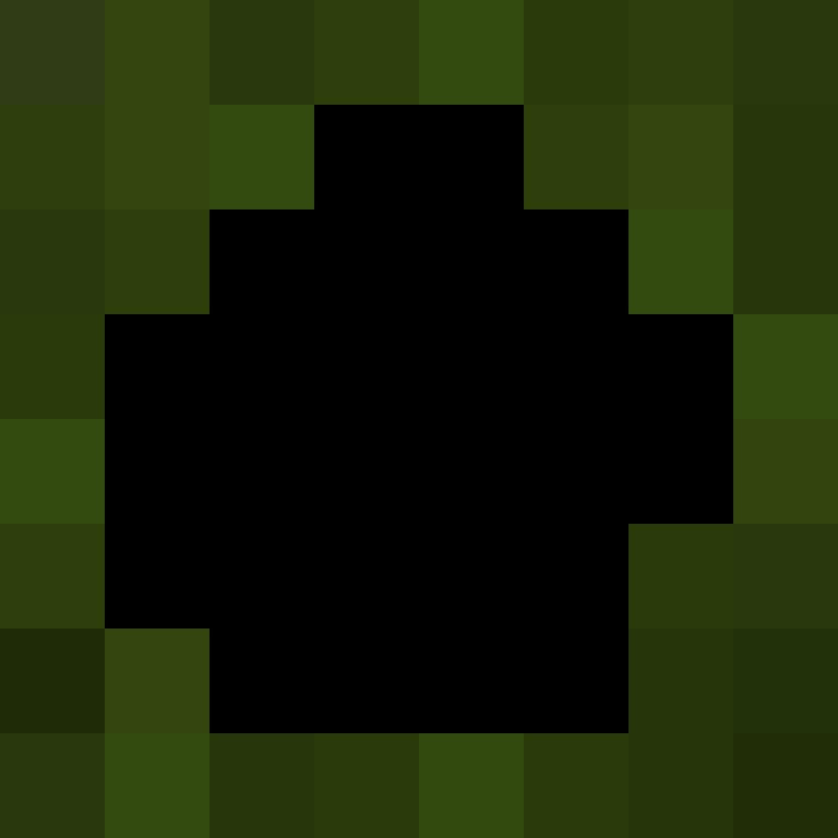 Bloxev's skin