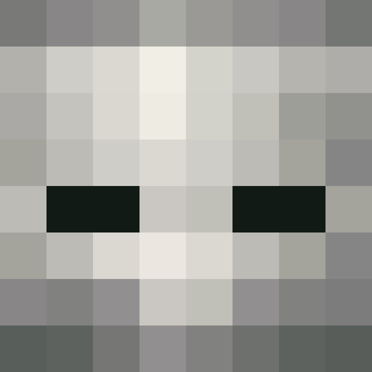 iragiry's skin