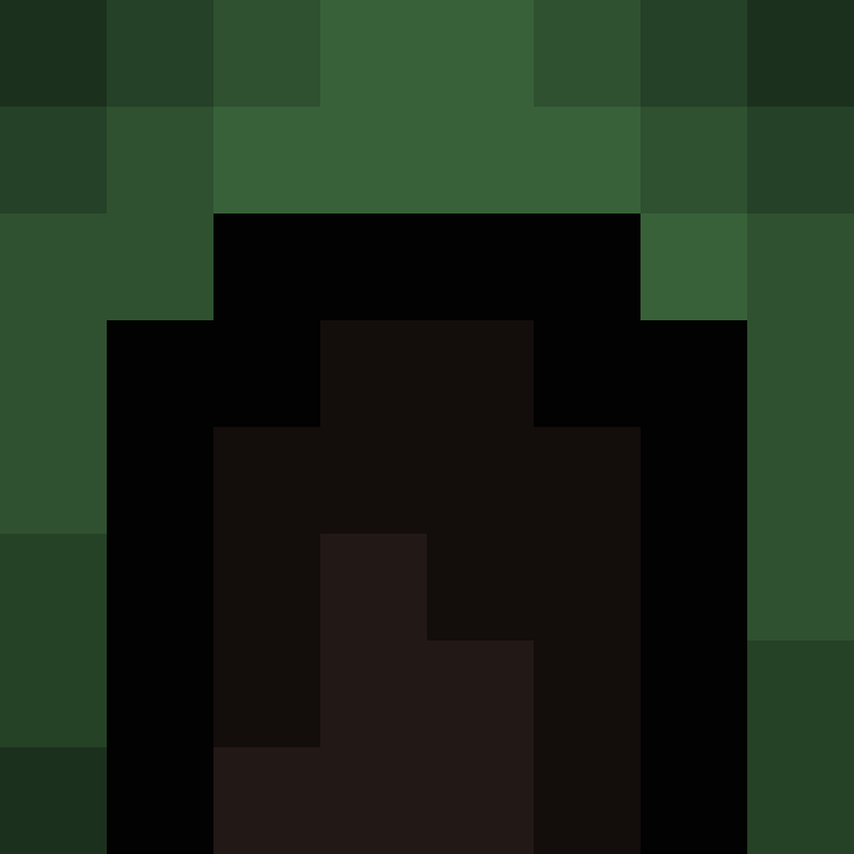 TheDottoree's skin