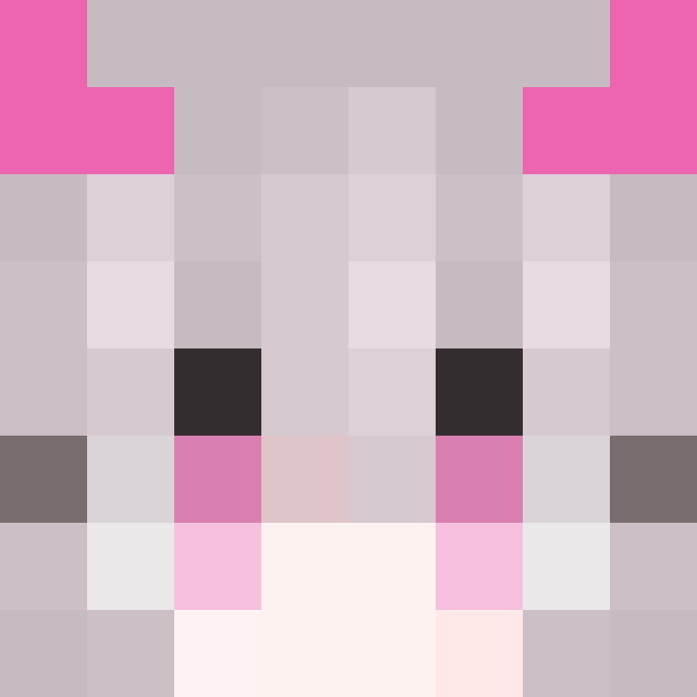 NEW55573's skin