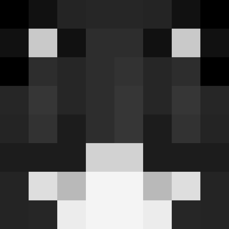 Zp1241's skin
