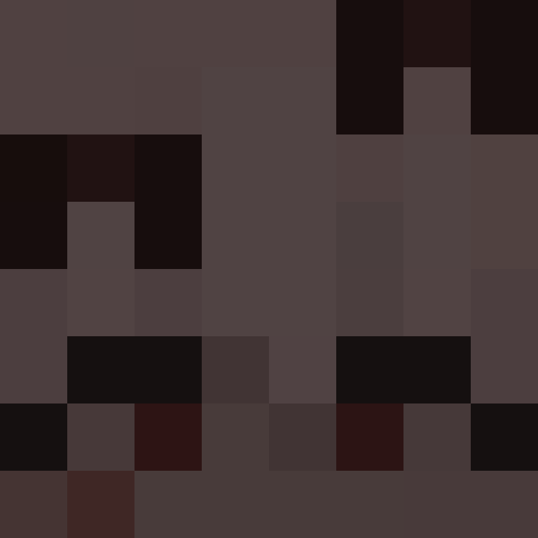 Fr1erenTheSlayer's skin