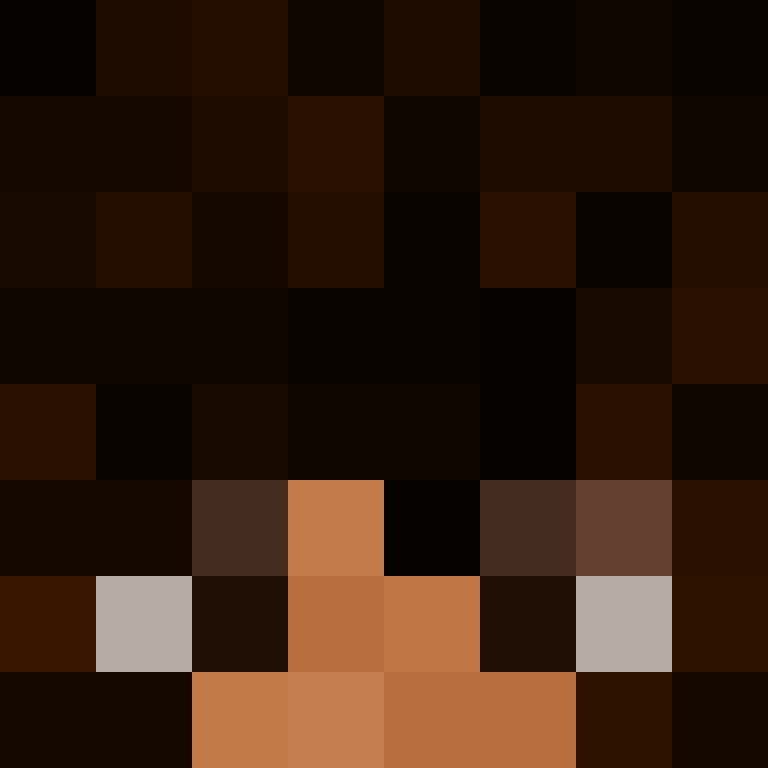 Nobodycaresphi's skin