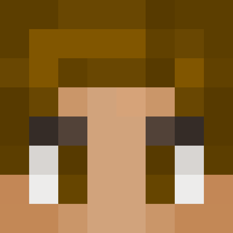 RandomPVPMC's skin