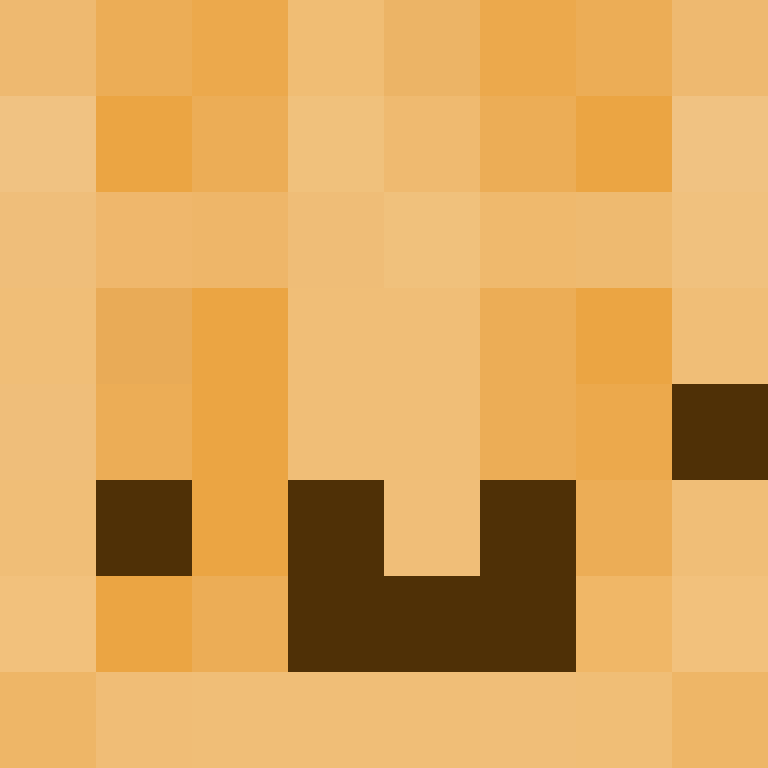 dragonslayerzoro's skin