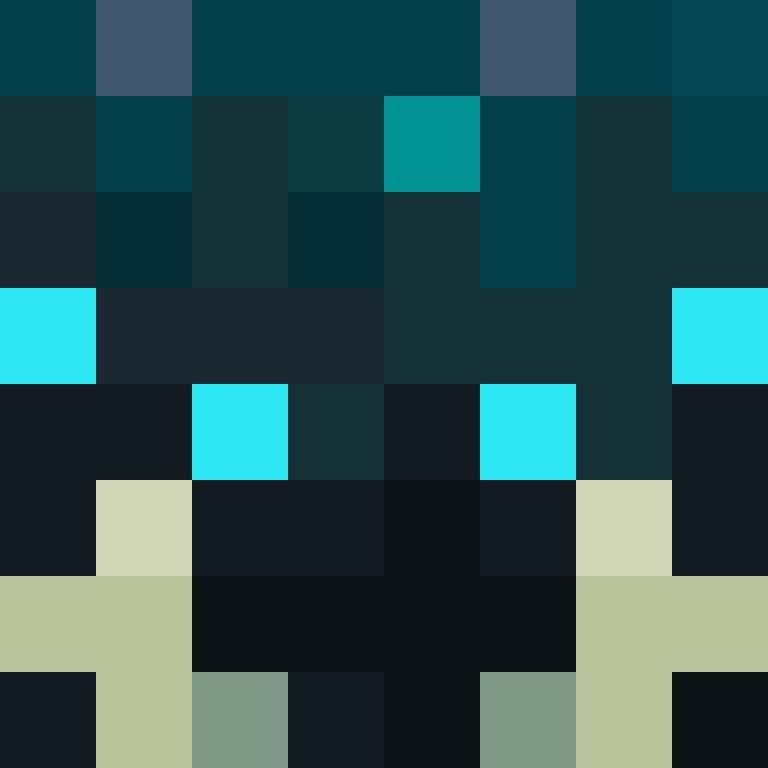Fortune9132's skin
