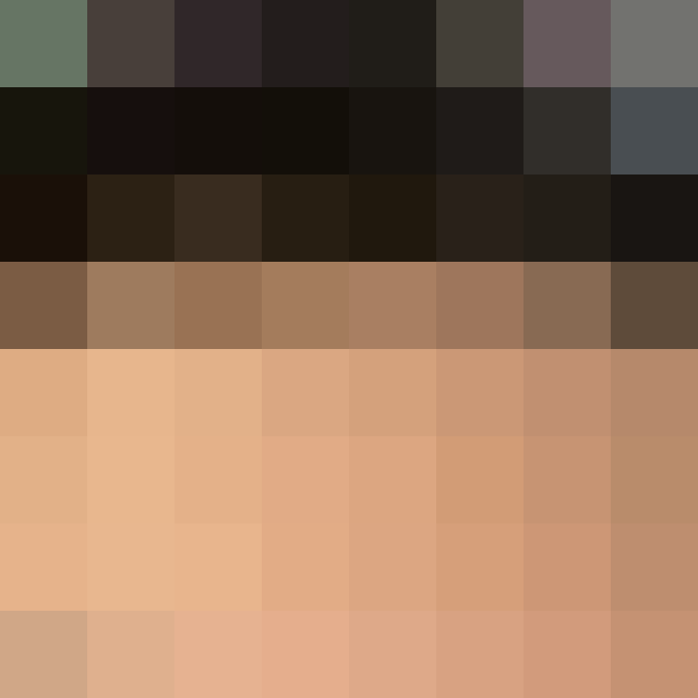 ShadyAlpaca3333's skin