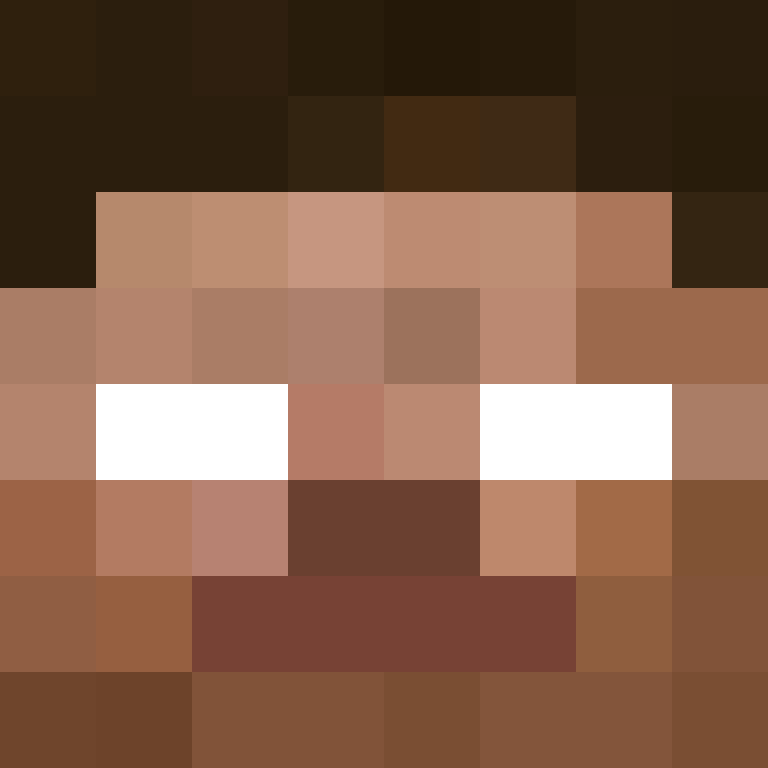 Herobrire's skin