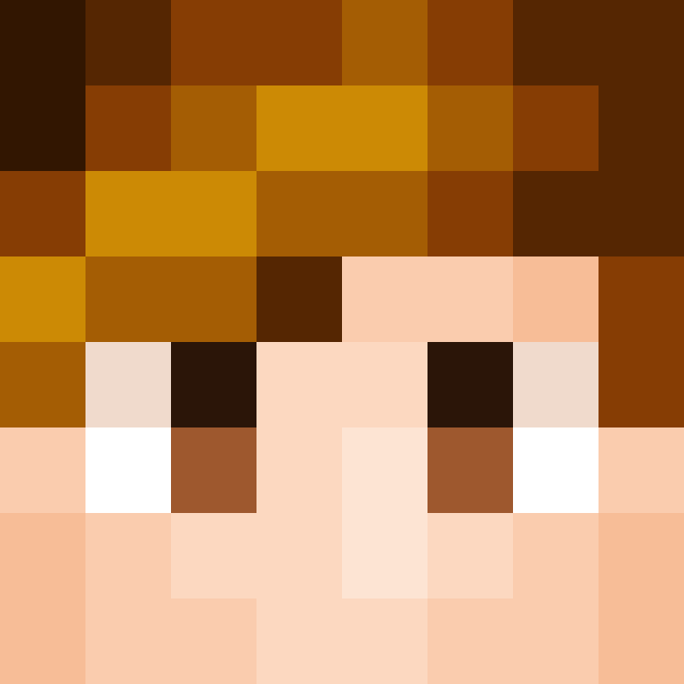 TheArctics's skin