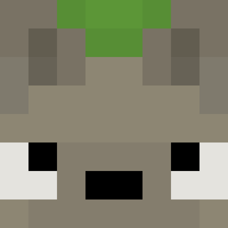 PR0_'s skin