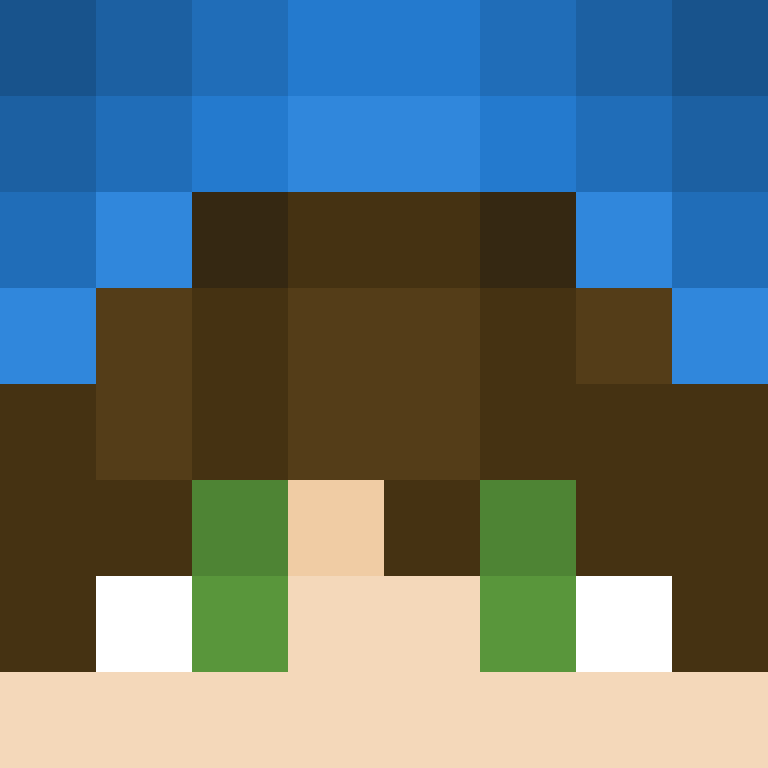 carrecraft11's skin