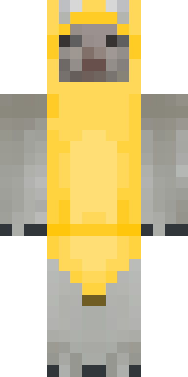 BODY