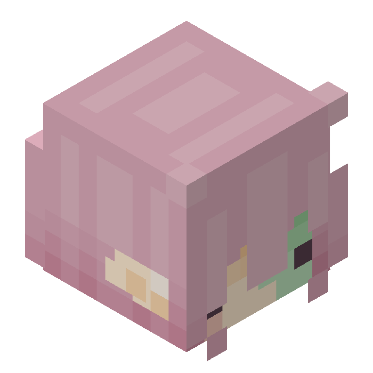 HEAD_ISO