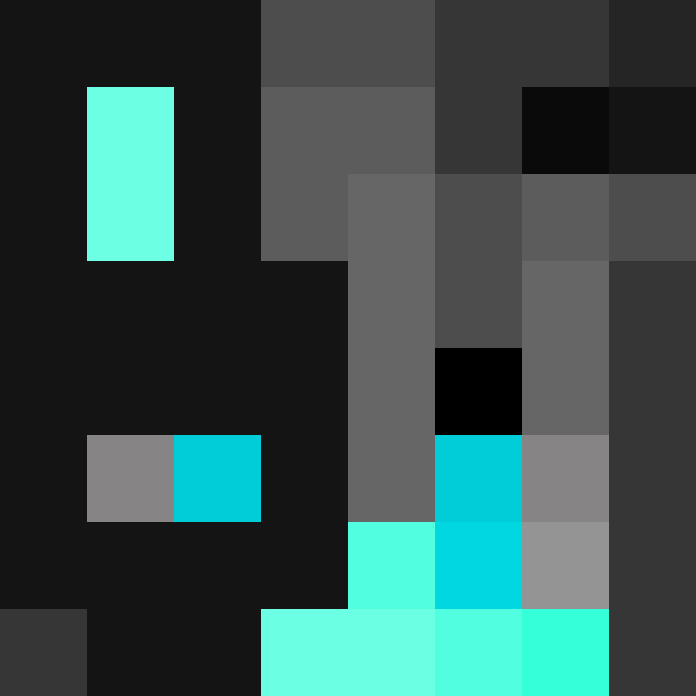 NinjaFurtif's skin