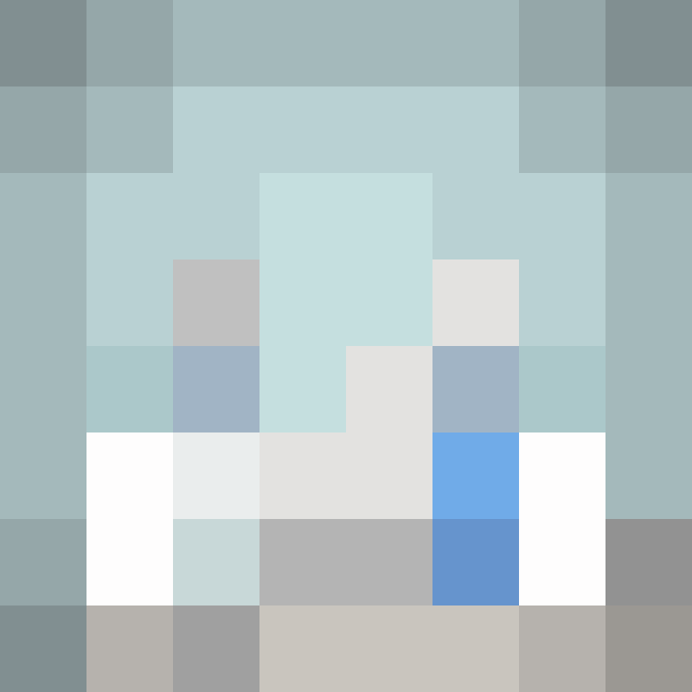 shoon2t's skin