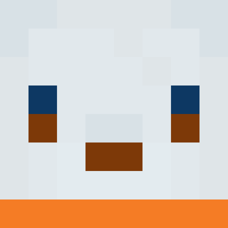 ChickenEnRice's skin