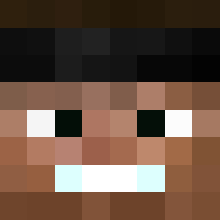 Toiletet's skin