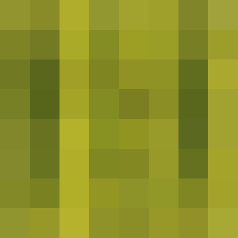 Melonwood's skin
