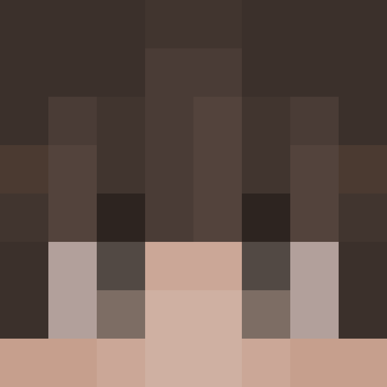 Amendmentt's skin