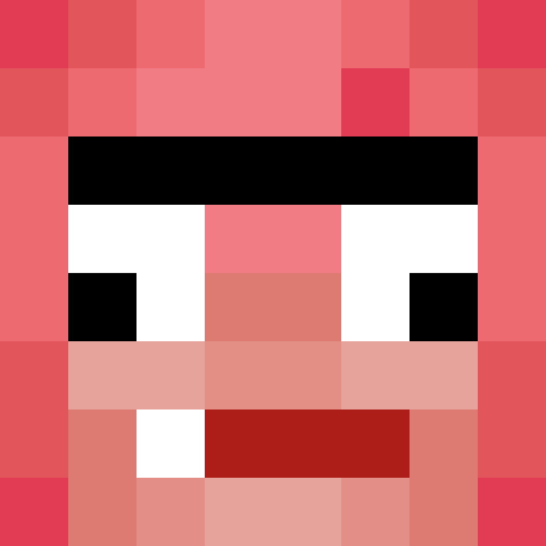 DaNoobPlayZ1's skin