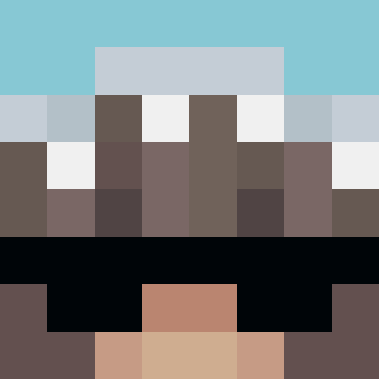 Lowpixelation's skin