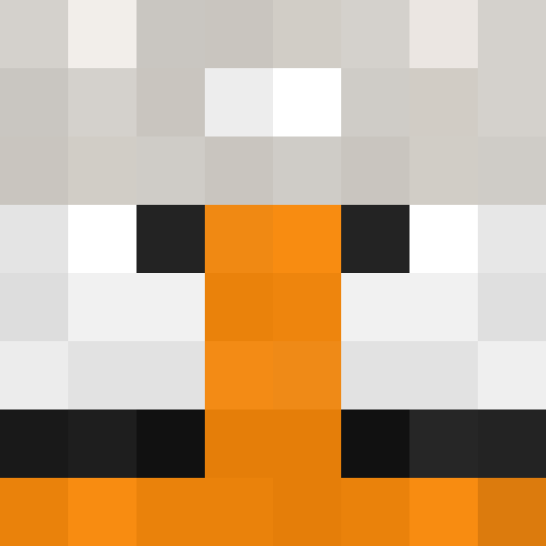 Sharkorer's skin
