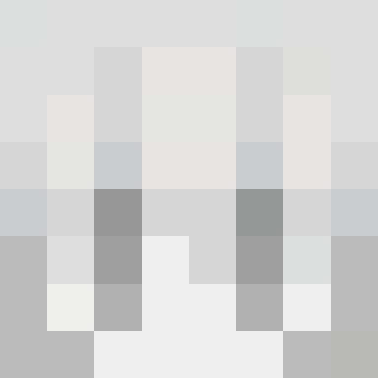 SIBI_1's skin