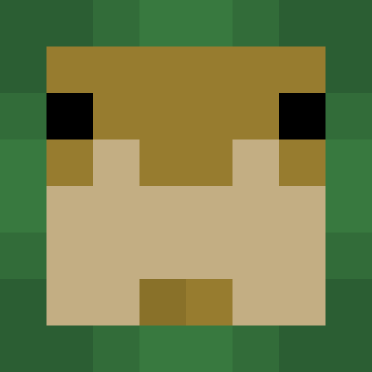 KingFireSlayer's skin