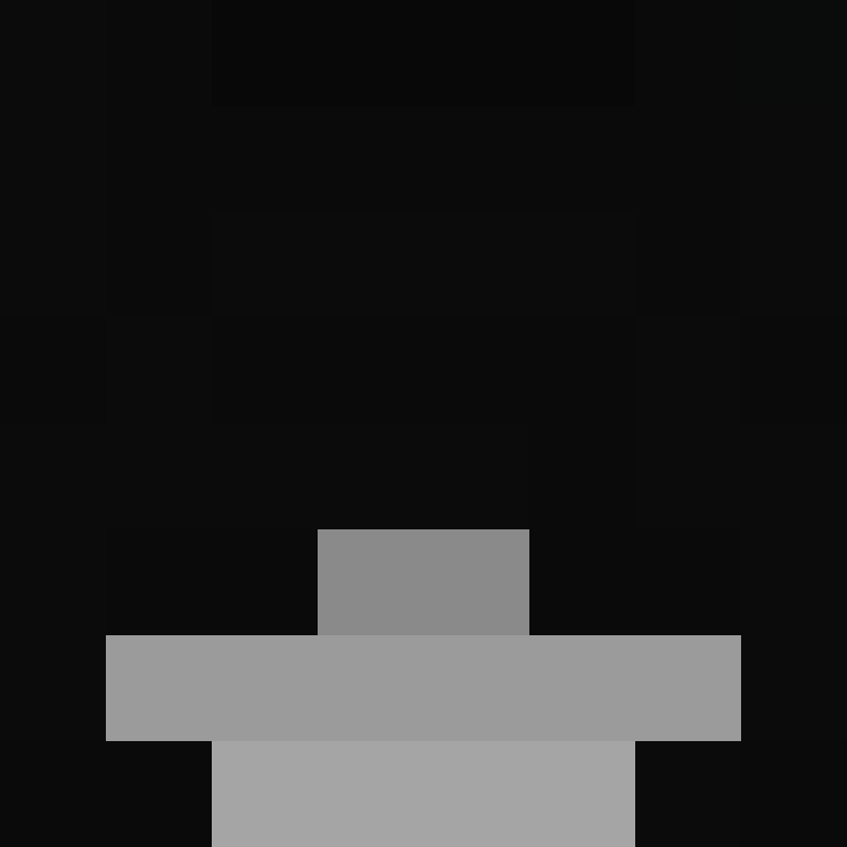 leiden's skin