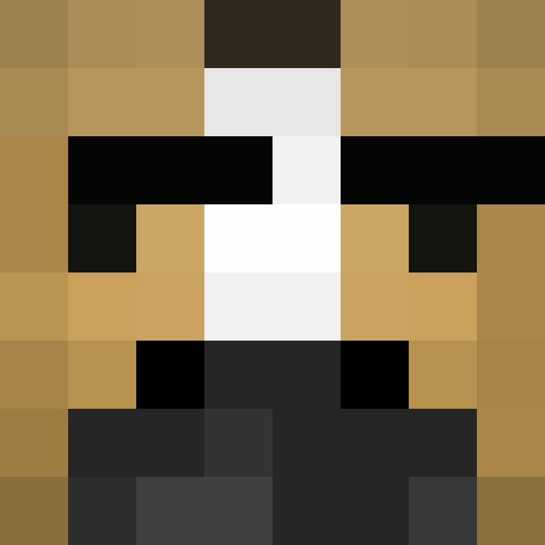 xNguoiCoAychon's skin