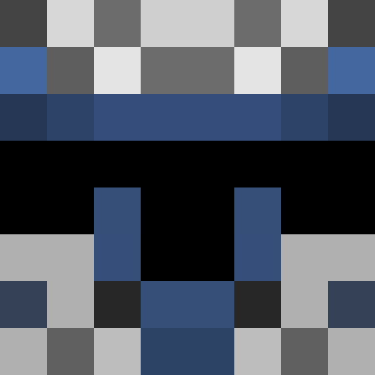 BattleBearXD's skin