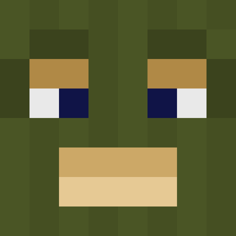 BaneOfBlocks's skin