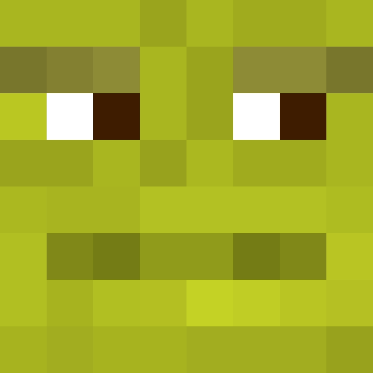 Birkenstoks's skin