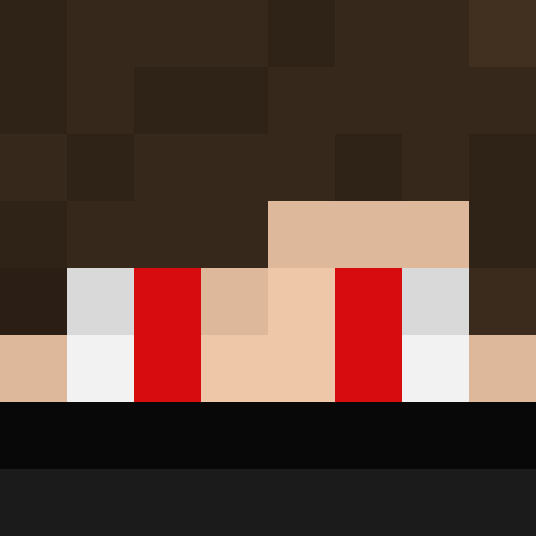 ZiN_games's skin