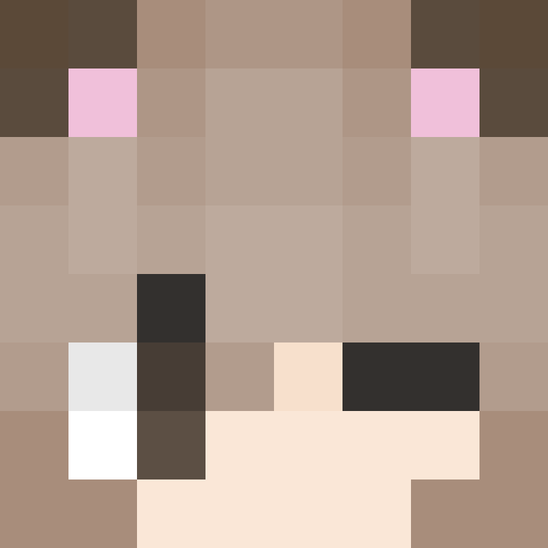 chwtoy's skin
