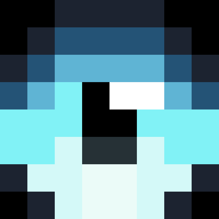 NotFlyer's skin
