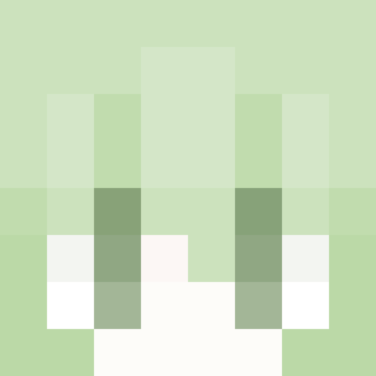 i_eat_cheese417's skin