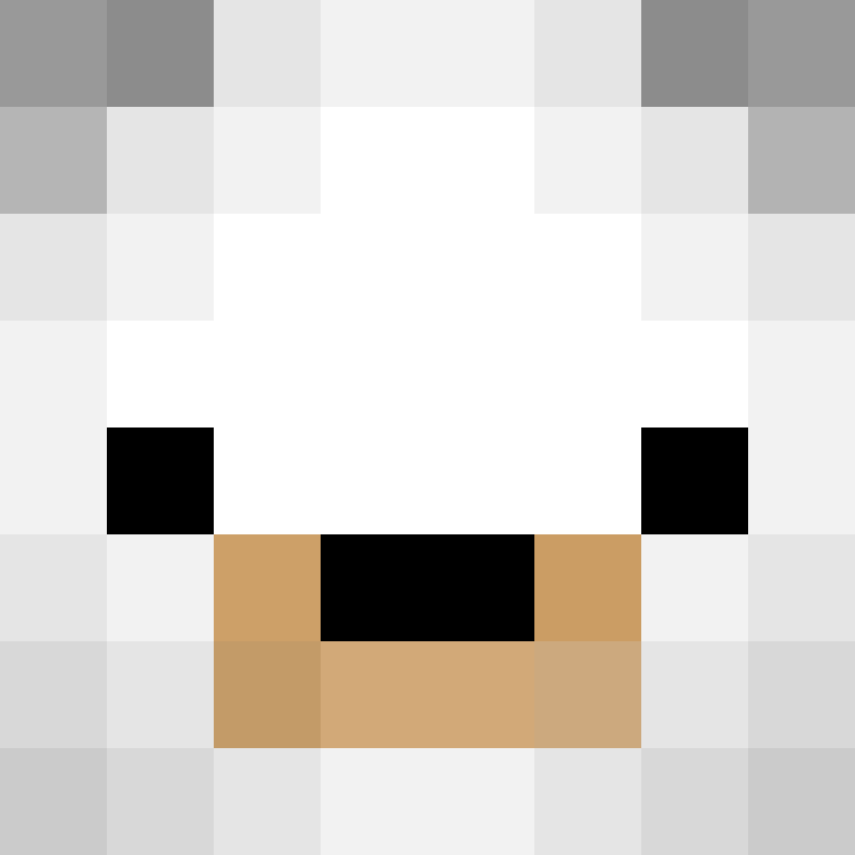 BattleBearXD's skin