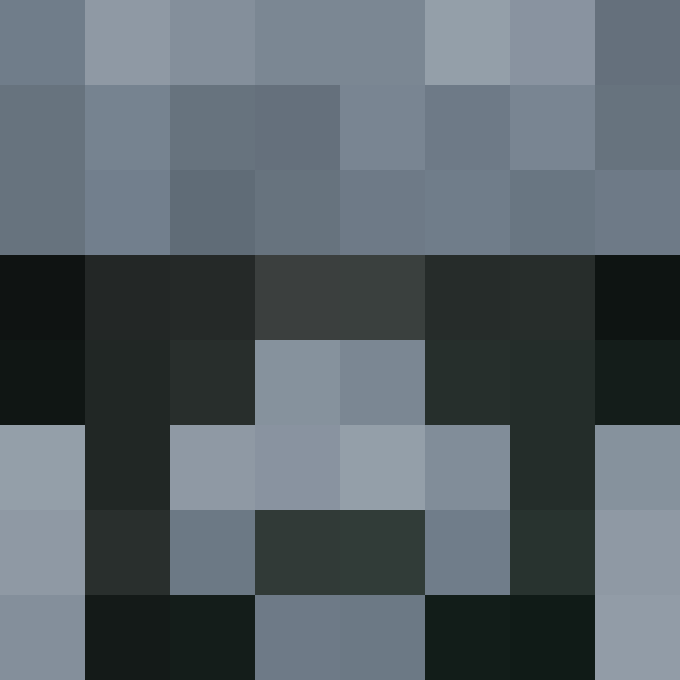 Blubeetle1's skin