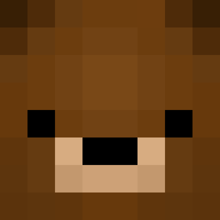 noan_chrono's skin